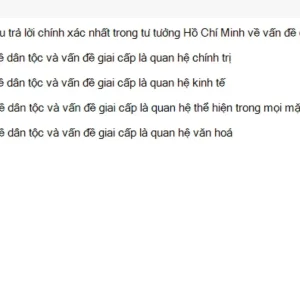 HCM202 SU26 FE RE_021.webp
