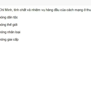 HCM202 SU26 FE RE_023.webp