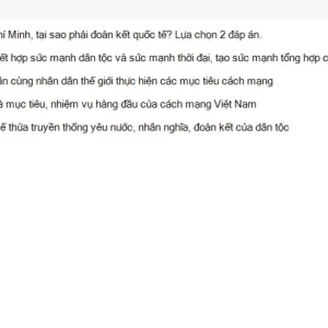 HCM202 SU26 FE RE_037.webp