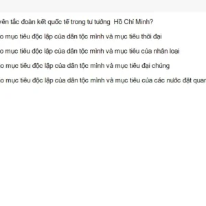 HCM202 SU26 FE RE_038.webp