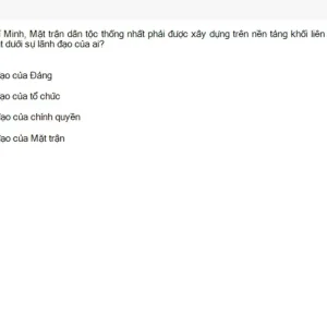 HCM202 SU26 FE RE_041.webp