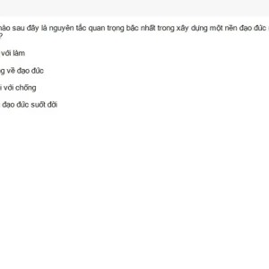 HCM202 SU26 FE RE_047.webp