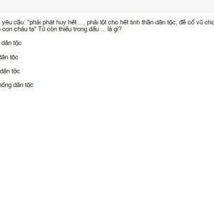 HCM202 SU26 FE RE_050.webp