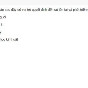 Media 'MLN131 SU26 FE RE_046.webp' in category 'MLN131'