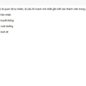 Media 'MLN131 SU26 FE RE_050.webp' in category 'MLN131'