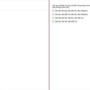 Q_024.jpg