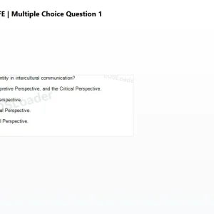mc_question_1.png