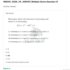 MAE101 SU26 FE_013.webp