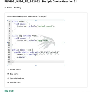 PRO192 SU26 FE_021.webp
