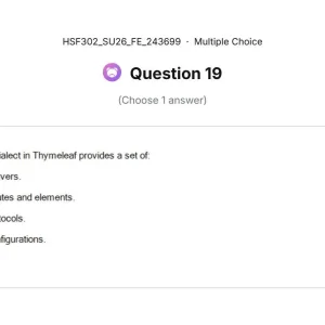 HSF302 SU26 FE_019.webp
