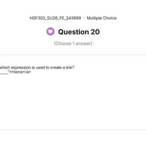 HSF302 SU26 FE_020.webp
