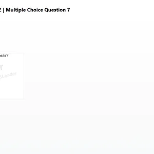 mc_question_7.png