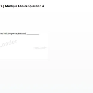 mc_question_4.png