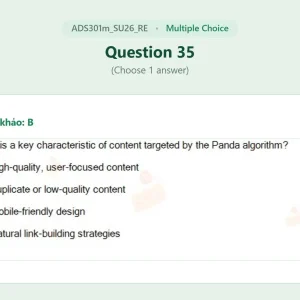ADS301m SU26 FE RE_035.webp