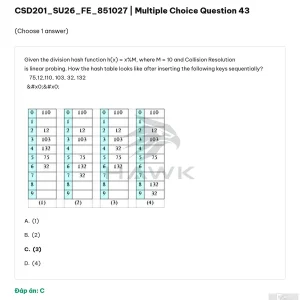 CSD201 SU26 FE_043.webp