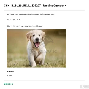 CHN113 SU26 FE L RE_003.webp