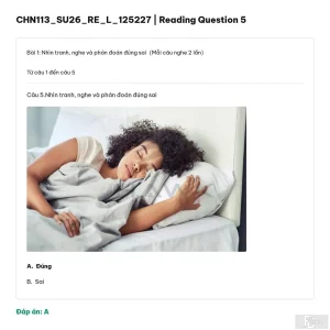 CHN113 SU26 FE L RE_004.webp