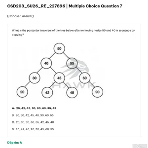 CSD203 SU26 FE RE_007.webp