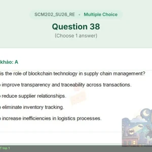 SCM202 SU26 FE RE_038.webp