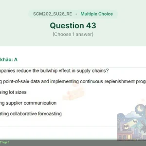 SCM202 SU26 FE RE_043.webp