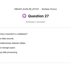 DBS401 SU26 FE RE_027.webp