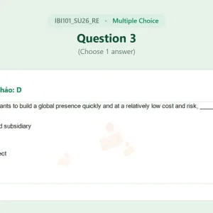 IBI101 SU26 FE RE_003.webp