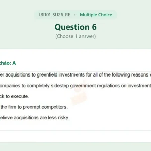 IBI101 SU26 FE RE_006.webp