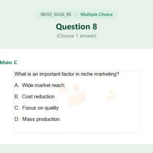 IBI101 SU26 FE RE_008.webp