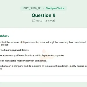 IBI101 SU26 FE RE_009.webp
