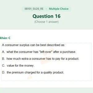 IBI101 SU26 FE RE_016.webp