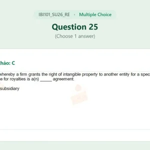 IBI101 SU26 FE RE_025.webp