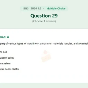 IBI101 SU26 FE RE_029.webp