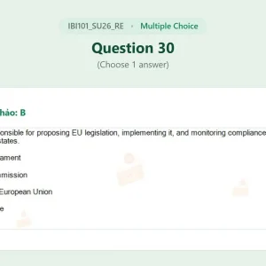 IBI101 SU26 FE RE_030.webp
