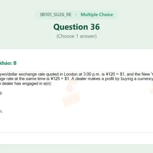 IBI101 SU26 FE RE_036.webp