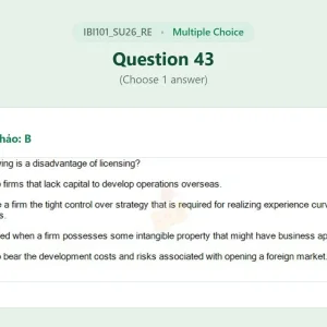 IBI101 SU26 FE RE_043.webp