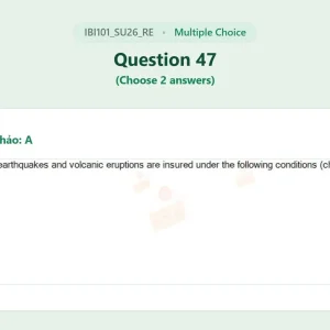 IBI101 SU26 FE RE_047.webp