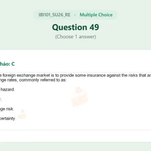 IBI101 SU26 FE RE_049.webp