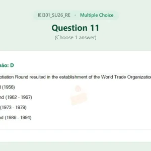 IEI301 SU26 FE RE_011.webp