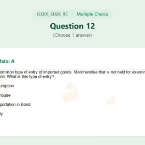IEI301 SU26 FE RE_012.webp