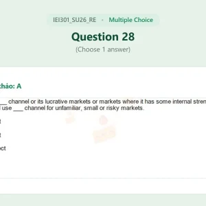 IEI301 SU26 FE RE_028.webp