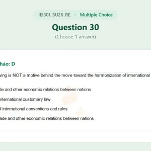 IEI301 SU26 FE RE_030.webp
