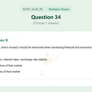IEI301 SU26 FE RE_034.webp