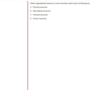 ITE302c SU24 FE_060.webp