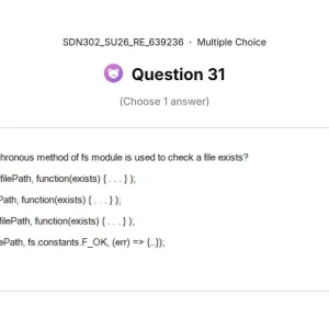 SDN302 SU26 FE RE_031.webp
