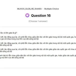 MLN131 SU26 FE RE_016.webp