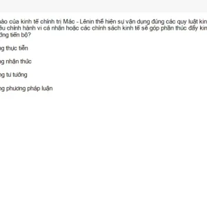 MLN122 SU26 FE RE_005.webp