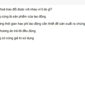 MLN122 SU26 FE RE_007.webp
