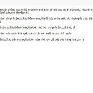 MLN122 SU26 FE RE_022.webp