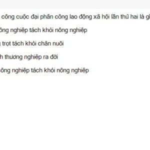 MLN122 SU26 FE RE_049.webp