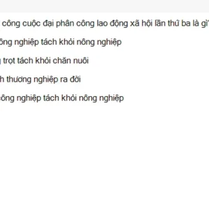 MLN122 SU26 FE RE_050.webp